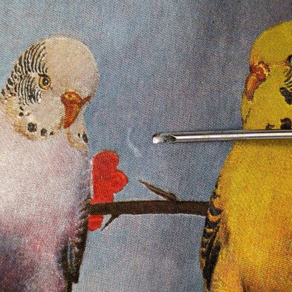 Foil Art Bird Lot Two (2) Signed F. Osborne Vintage B Parakeet Magnolias Floral2 - Picture 4 of 16